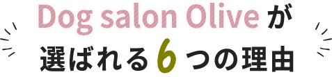 Dog salon Oliveが選ばれる6つの理由