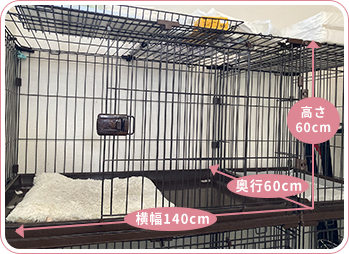ワンちゃんのケージ