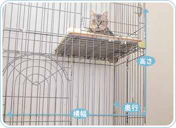 ネコちゃんのケージ