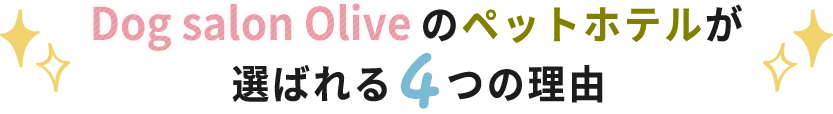 Dog salon Oliveのペットホテルが選ばれる4つの理由