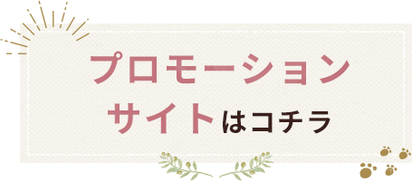 プロモーションサイトはコチラ