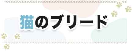 猫のブリード