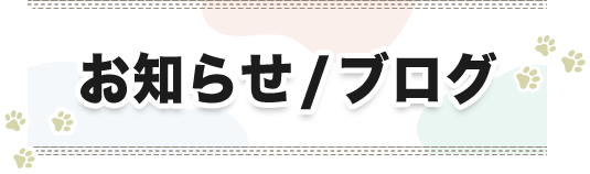お知らせ/ブログ