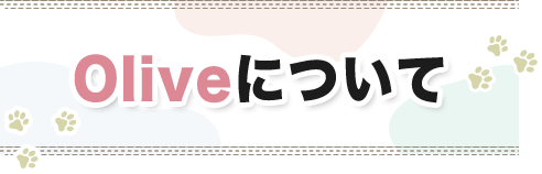Oliveについて
