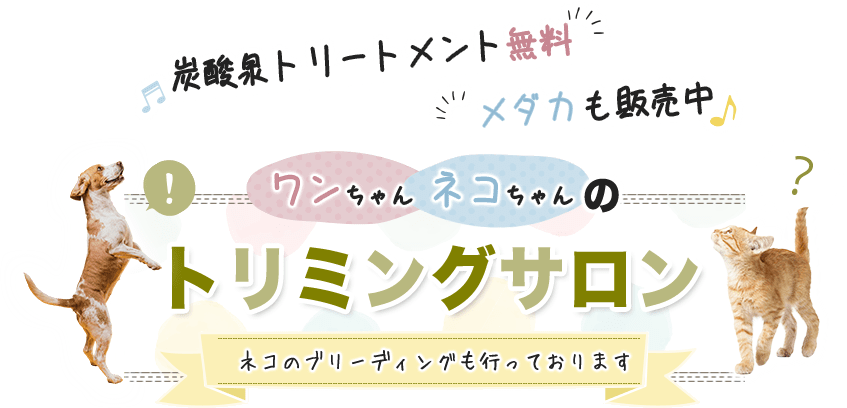 炭酸泉トリートメント無料 メダカも販売中 ワンちゃんネコちゃんのトリミングサロン ネコのブリーディングも行っておりますx